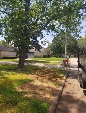 Before & After Junk Removal in North Houston, TX (2)