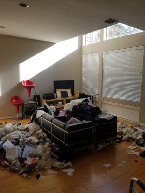 Before & After Hoarder Cleanout in The Woodlands, TX (1)