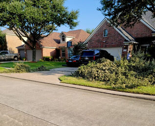 Yard Waste Removal Services in Spring, TX (1)