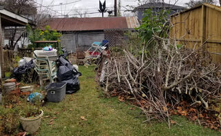 Yard Waste Removal Services in The Woodlands, TX (1)